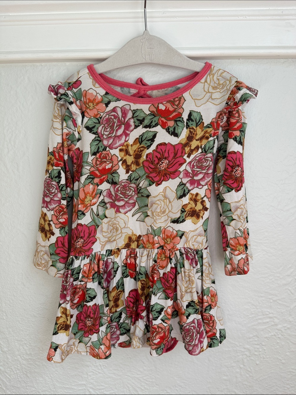 Girls Floral Long-Sleeve One-Piece Dress - Pink/Green Floral